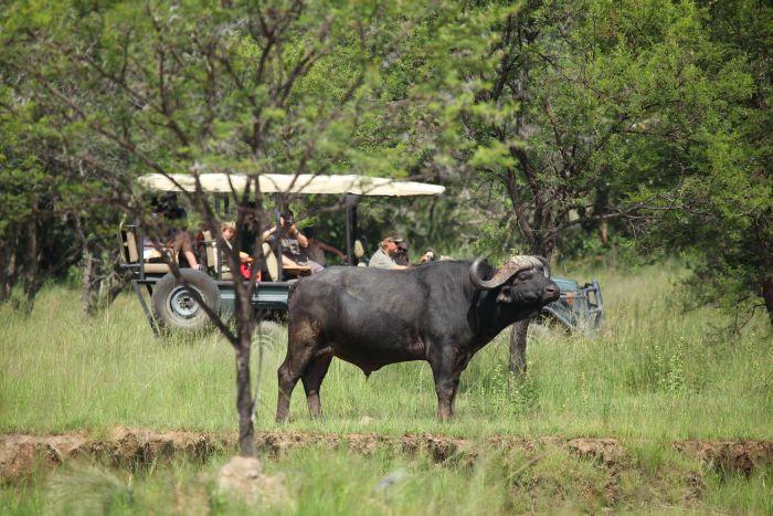 Waterberg Riding Safaris - Des vacances d'aventure !