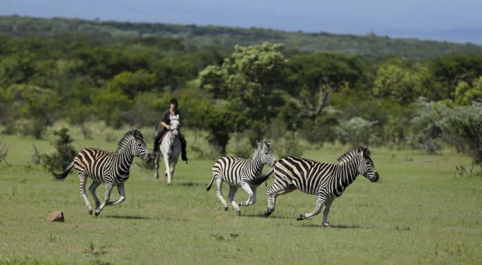Waterberg Riding Safaris - Des vacances d'aventure !