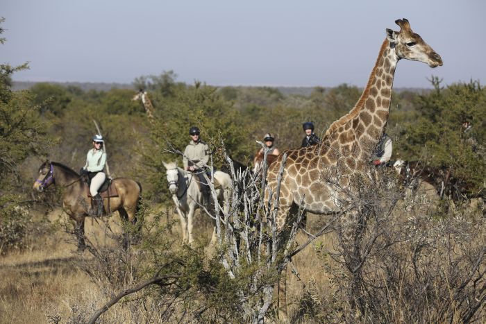 Waterberg Riding Safaris - Des vacances d'aventure !