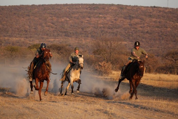 Waterberg Riding Safaris - Des vacances d'aventure !