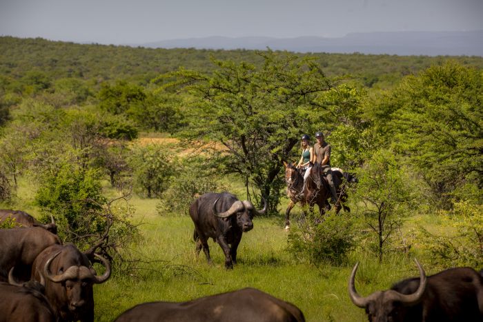 Waterberg Riding Safaris - Des vacances d'aventure !