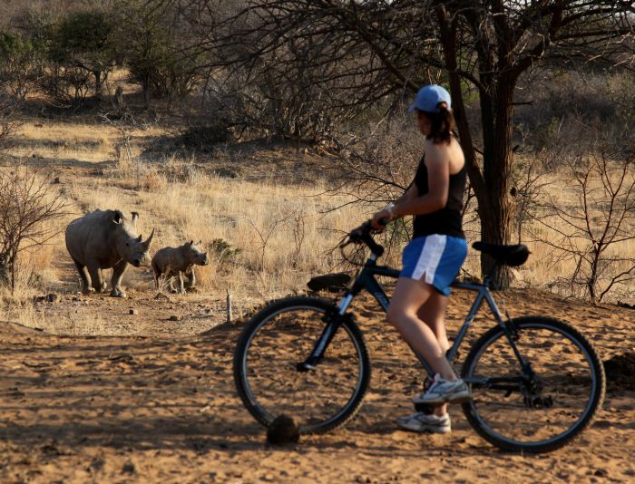 Waterberg Riding Safaris - Des vacances d'aventure !