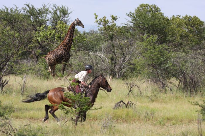 Waterberg Riding Safaris - Des vacances d'aventure !