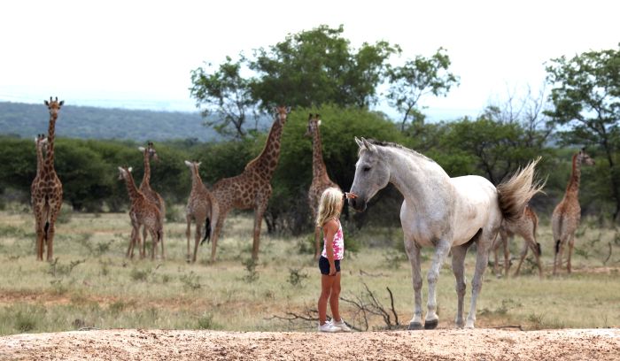 Waterberg Riding Safaris - Des vacances d'aventure !