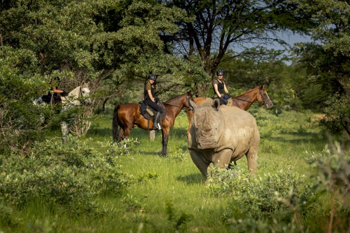 Waterberg Riding Safaris - Des vacances d'aventure !