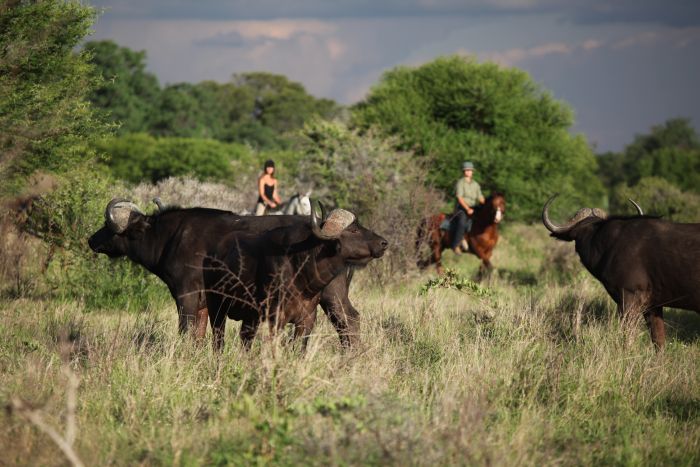Waterberg Riding Safaris - Des vacances d'aventure !
