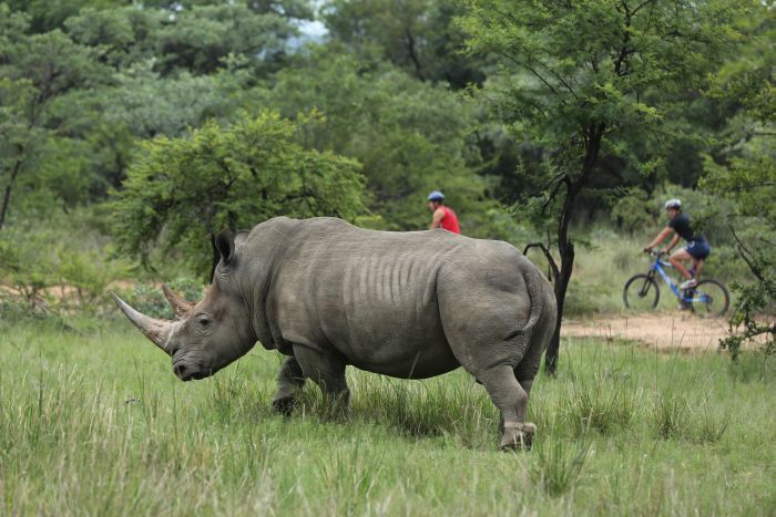 Waterberg Riding Safaris - Des vacances d'aventure !