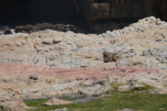 Voyage vers le point le plus au sud du cap