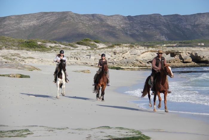 Voyage vers le point le plus au sud du cap