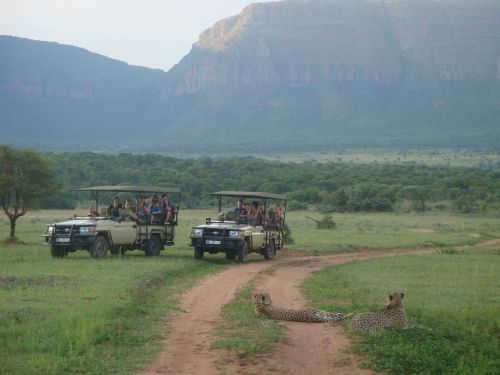 Exploration de l'Afrique sauvage