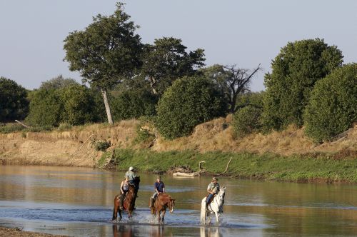 Exploration de l'Afrique sauvage