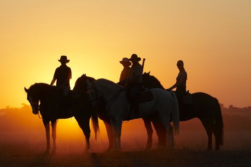 Exploration de l'Afrique sauvage