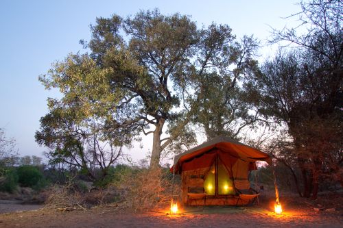 Exploration de l'Afrique sauvage