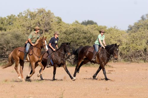 Exploration de l'Afrique sauvage