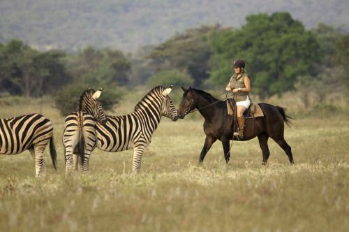 Exploration de l'Afrique sauvage