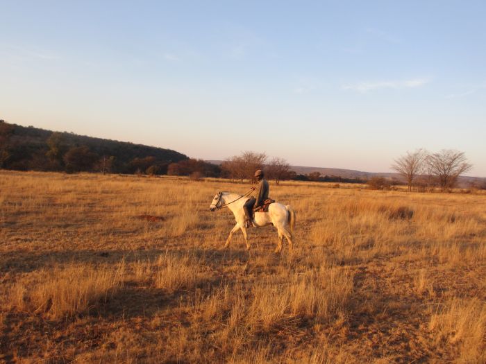 Reiten in Afrika mit Nilpferdbeobachtung