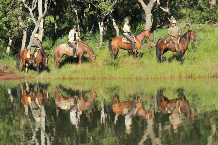 Séjour d'aventure près du lac