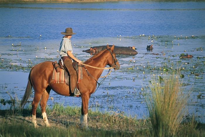 Séjour d'aventure près du lac