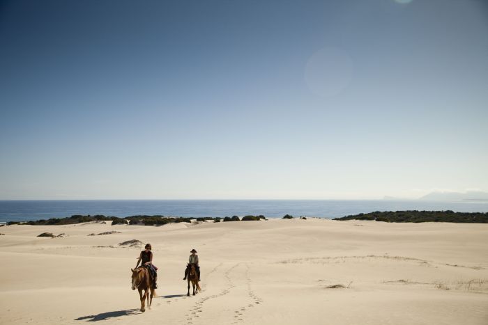 Trail sur plage à Walker Bay