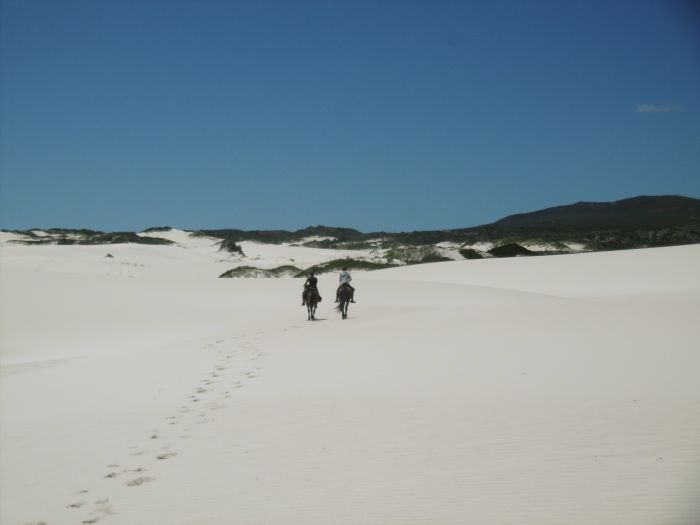 Trail sur plage à Walker Bay