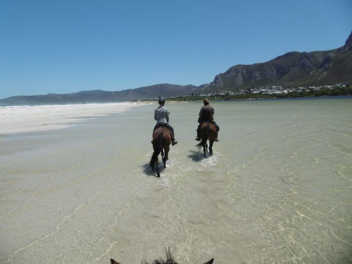 Trail sur plage à Walker Bay