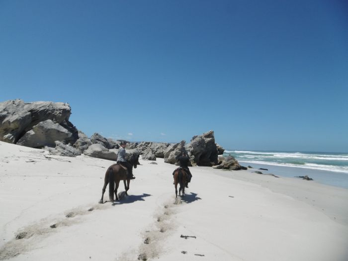 Trail sur plage à Walker Bay