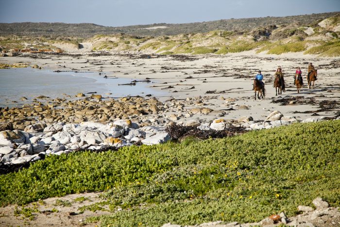 Trail sur plage à Walker Bay