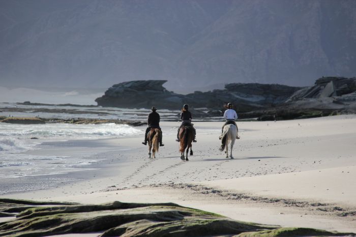 Trail sur plage à Walker Bay