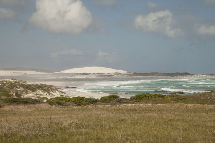 Trail sur plage à Walker Bay