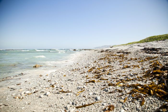 Trail sur plage à Walker Bay