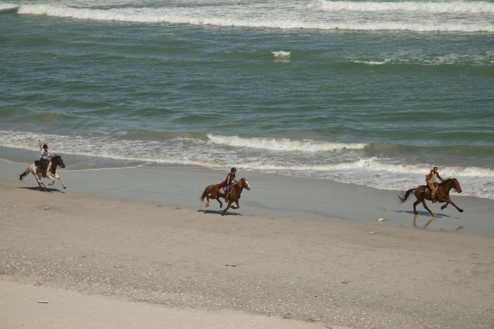 Trail sur la plage dans la région du Cap