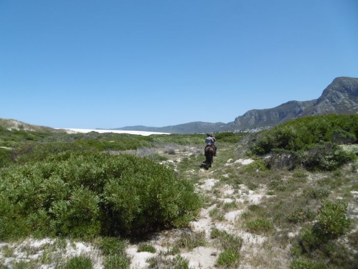 Trail sur la plage dans la région du Cap