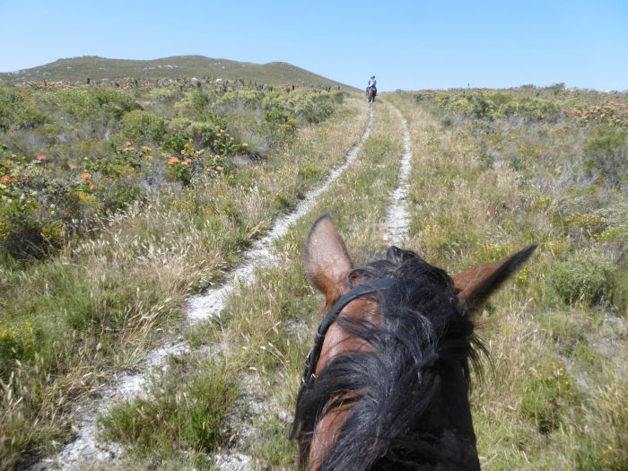 Trail sur la plage dans la région du Cap