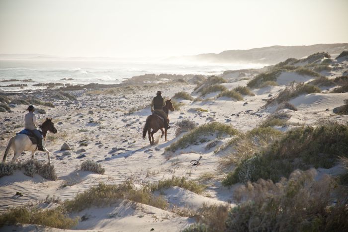 Trail sur la plage dans la région du Cap