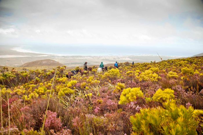 Trail sur la plage dans la région du Cap