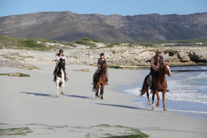 Trail sur la plage dans la région du Cap