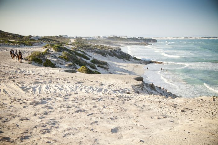 Trail sur la plage dans la région du Cap