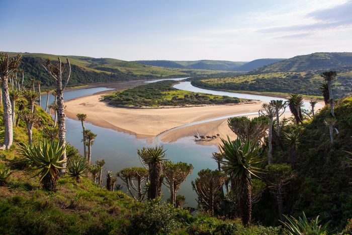 Détente sur la Côte sauvage