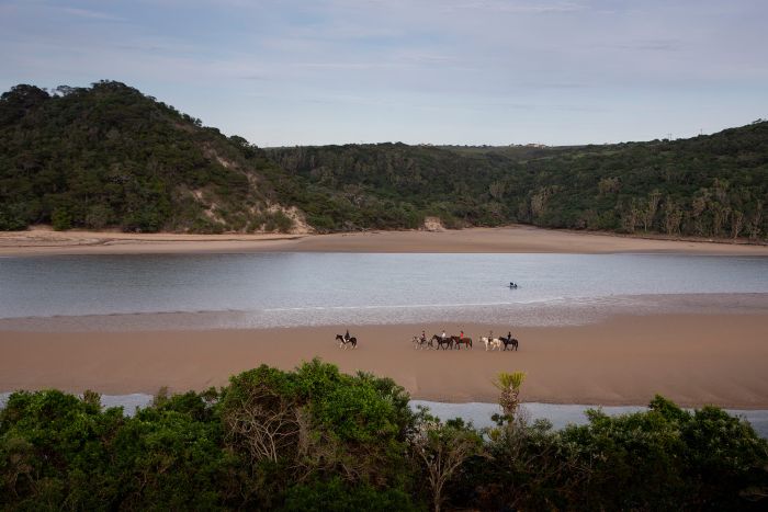 Détente sur la Côte sauvage