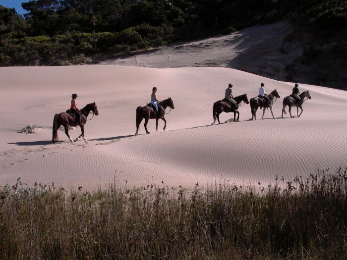 Randonnée côtière sauvage