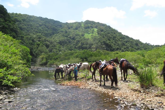 Vacances de travail sur la côte sauvage en Afrique du Sud