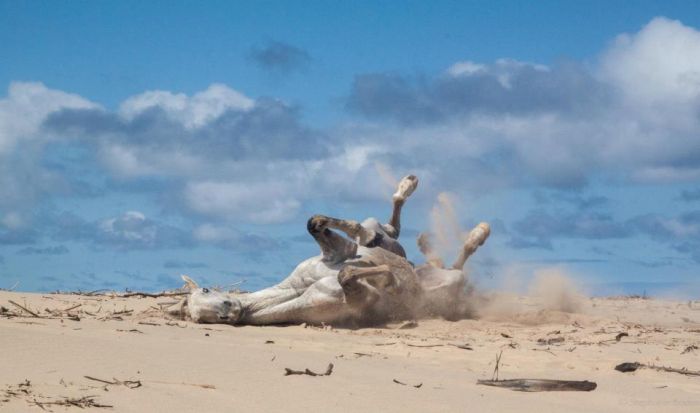 Vacances de travail sur la côte sauvage en Afrique du Sud