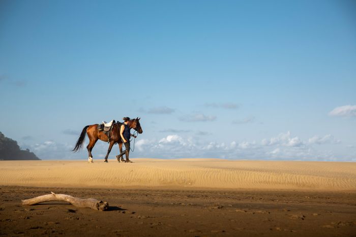 Vacances de travail sur la côte sauvage en Afrique du Sud