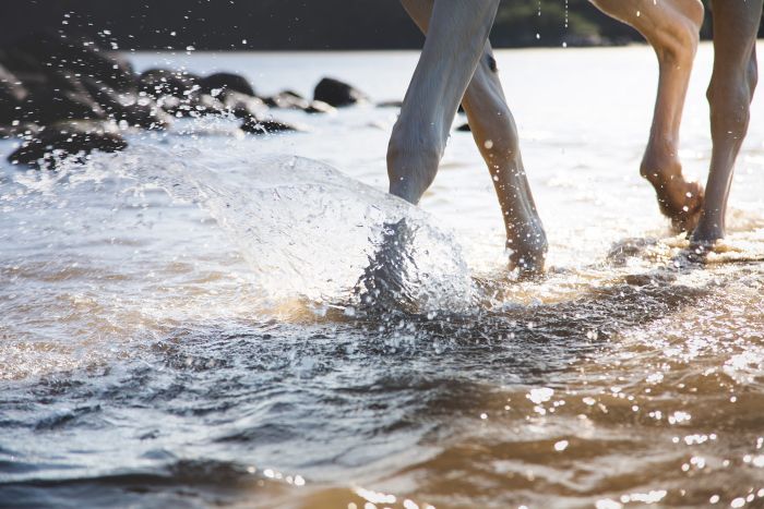 Vacances de travail sur la côte sauvage en Afrique du Sud