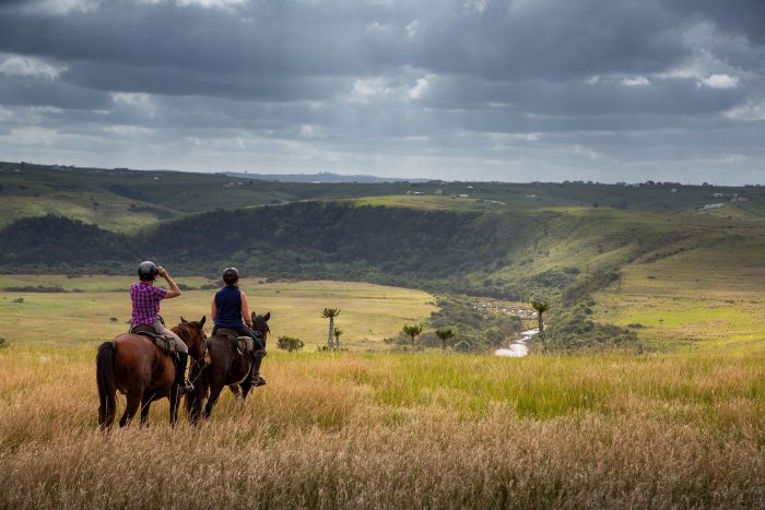 Vacances de travail sur la côte sauvage en Afrique du Sud