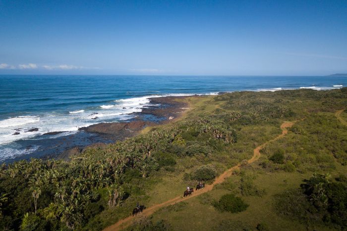 Vacances de travail sur la côte sauvage en Afrique du Sud