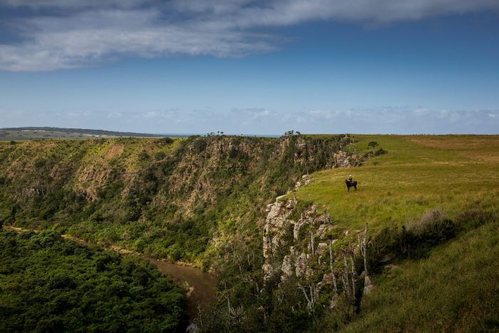 Vacances de travail sur la côte sauvage en Afrique du Sud