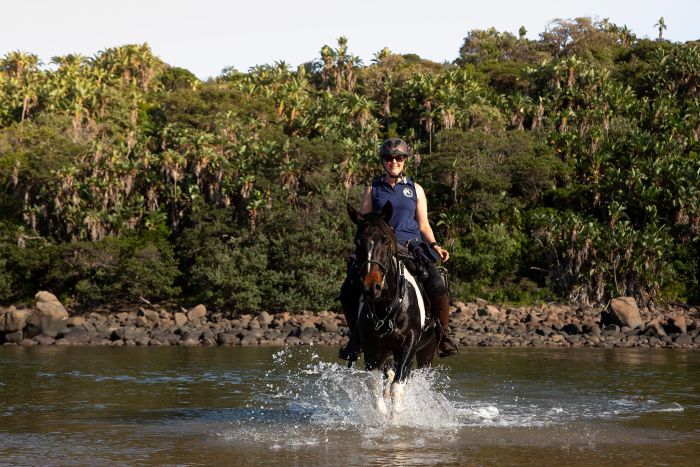 Vacances de travail sur la côte sauvage en Afrique du Sud