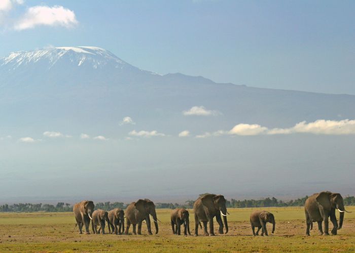 Kenya Safari Lodge - L'aventure en selle
