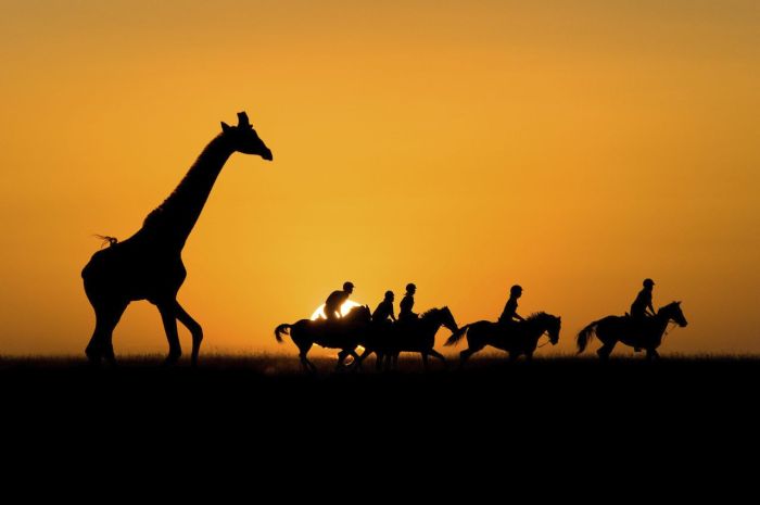Kenya Safari Lodge - L'aventure en selle